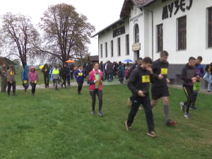 Жупска трка у част "прокупца" у Александровцу