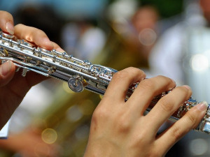 Свирај свирче - Флаута