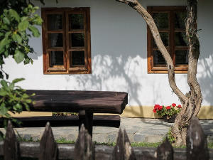  1001 Траг - Имам једну жељу - Предраг Гојковић 