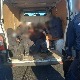 Ухапшен српски држављанин у Мађарској, у комбију превозио 16 илегалних миграната