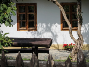  1001 Траг - Пева пет’о на дуду јаловцу - Нестор Габрић 