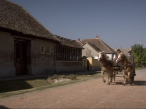  1001 Траг - Сунце јарко јутром кад се будиш - Звонко Богдан 