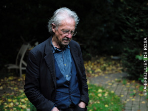 Петер Хандке: Леворука жена