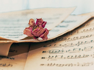 	Променада - Фестивал народне музике Бања Лука ‘98.