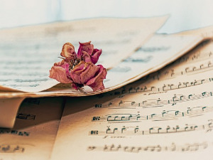 Променада - Војвођанске златне жице 2003. 