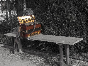 Век хармонике – Дијана Чемерите