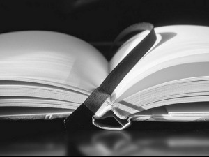 Пренос свечаног отварања 55. Међународног сајма књига у Београду