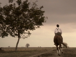  1001 Траг - Соња - Предраг Гојковић Цуне 