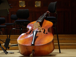 Свирај свирче - Контрабас