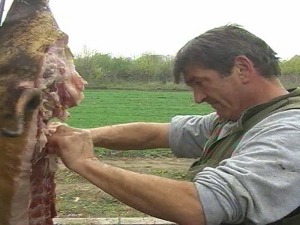 Време свињокоља - однесите месо на преглед, и кулен може да вам дође главе