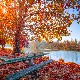 Ритам раног јутра