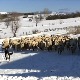 Како горштаци с Пештери дочекују зиму сличну сибирској 