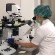 Колико је пандемија успорила вантелесну оплодњу - хоће ли на крају године бити више беба