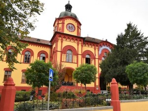 Драган Хрнчић и Давор Џалто: Живот као филозофско и научно питање