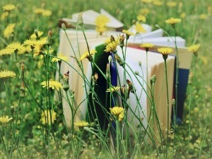 Успаванка за моју генерацију и Понорнице