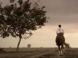  1001 Траг - Сад знанци смо само - Ивана Пандуровић 