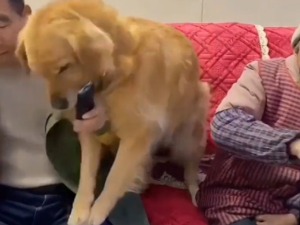 Не дирај даљински!