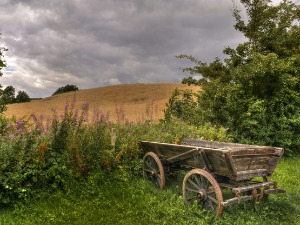  1001 Траг - Хеј, хај баш нас брига - Тамбурашки оркестар Бисери Темерина 