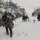 Филмска акција на Маљену - како су четири младића стигла до 17 заглављених у сметовима