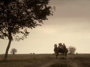  1001 Траг - Не песму ту - Нови споменари 