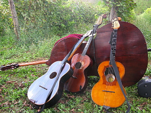 Тамбурица златна жица 