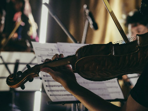 Камерни концерт – Лудвиг Туил