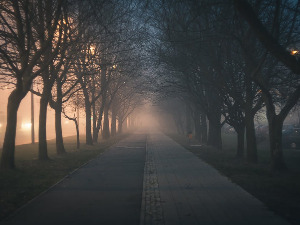 Ноћне променаде