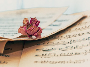 	Променада - Илиџа 1968.