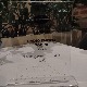 Награда за емисију Време спорта и разоноде
