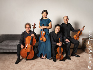 Нова дискографија