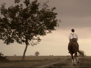  1001 Траг - Шта ће ми живот - Силвана Арменулић 