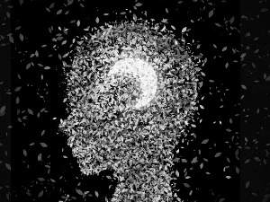 Пол Тидман: Замисливост као начин испитивања могућности