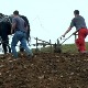 Марка и Турака одавно нема, али још се ору банатски друмови