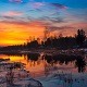 Ритам раног јутра