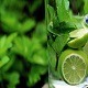 Новогодишњи музички маратон 202: Детокс витамински музички коктел