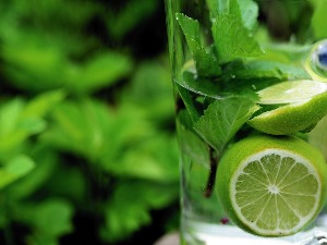 Новогодишњи музички маратон 202: Детокс витамински музички коктел