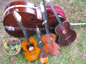 Тамбурица златна жица 