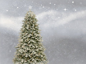  Новогодишња Чаролија, р. 