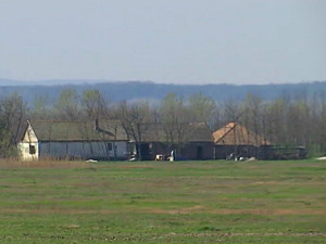  1001 Траг - Тамбураши моји - Рада Аџић 