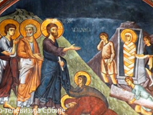  1001 Траг - Врбице врбо зелена - Група Траг 