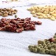 Банка без новца, а чува благо - даје позајмице, а нема камате