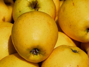 Од злата јабука 