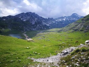 О значају биодиверзитета