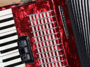 Век хармонике – Концерт Радуа Ратоија