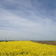 	Фолдер Србија: Старе речи 