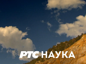 Светски:	 Милена Марјанович