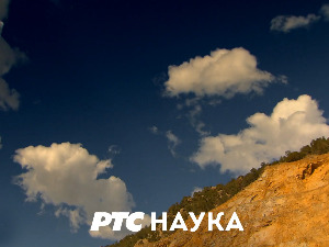 Могу и ја:	 Сандра Васић