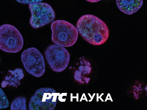 Кроз црвоточину са Морганом Фрименом:  Шта чини терористу?