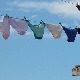 Приче о потрази за удобним гаћама су #metoo из индустрије конфекције