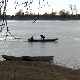 Сава: Рибе има, аласа све мање